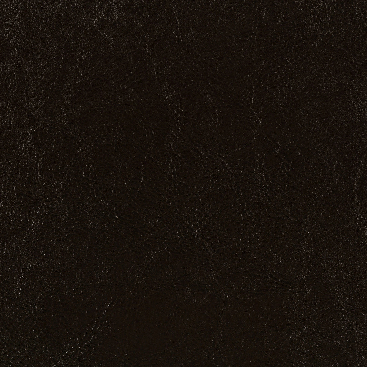 Dorian Panel Bed