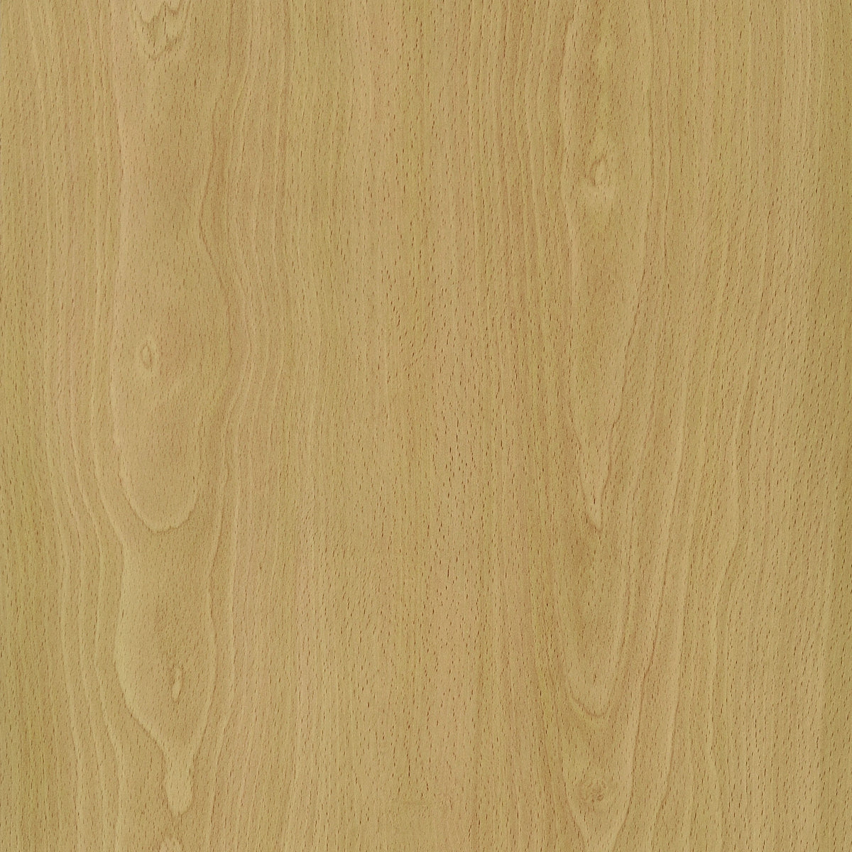 Edwards Four-Panel Room Divider
